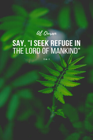 Seeking Refuge in Nature 🌿✨