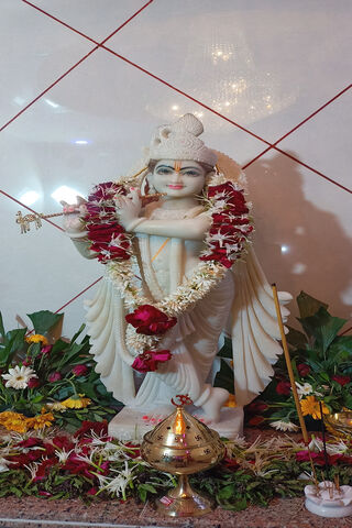 Divine Grace of Shree Krishna 🌼✨