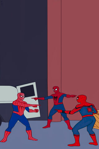 Spider Showdown: A Mult..