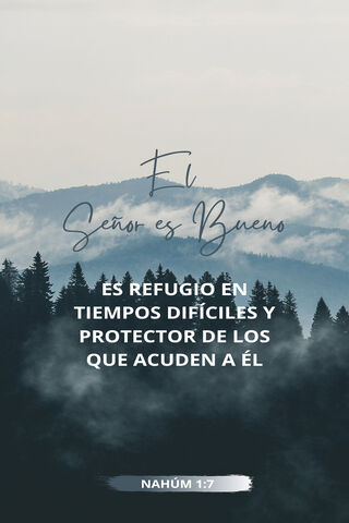 Finding Comfort in the Goodness of the Lord