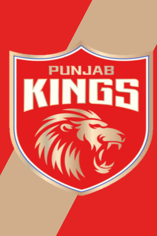 Roaring Pride: The Punjab Kings Emblem 🦁🏏