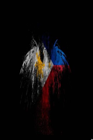 Soaring Spirit: The Philippine Hawk Flag 🦅🇵🇭
