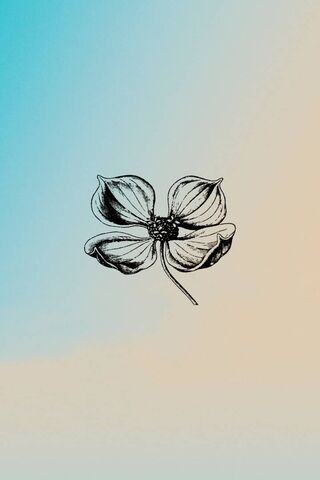 Whispers of Nature: Floral Elegance 🌸✨