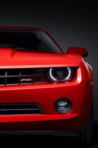 Dodge: The Bold Red Rac..