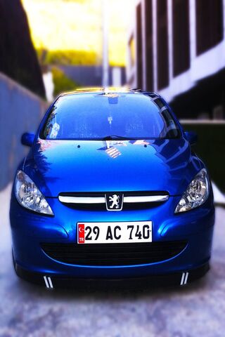 Peugeot 307: A Stylish Ride on the Road! 🚗💙