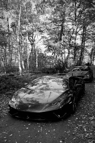 Autumn Elegance: A Drive Through Nature 🍂🚗