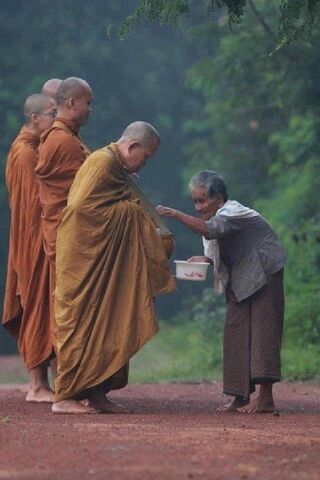 Harmony of Giving: A Good Spirit Moment 🌼🙏