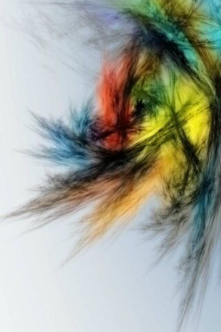 Colorful Flight: Abstract Bird Wings