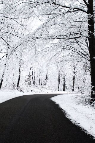 Winter Wonderland Pathway ❄️🌨️