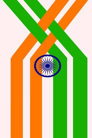 Unity in Colors: Celebrating Independence Day 🇮🇳