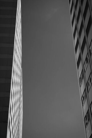 Urban Elegance: A Dance of Shadows 🌆✨