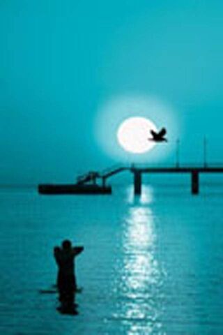 Serene Reflections Under the Moonlight 🌙✨