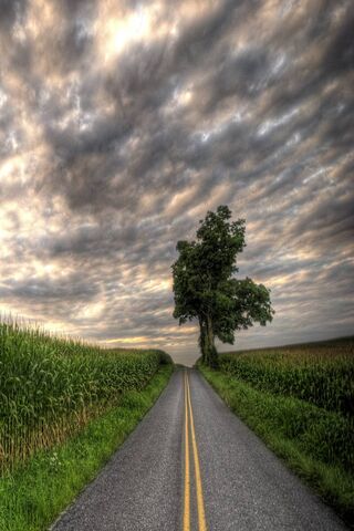 Journey Through the Ope..