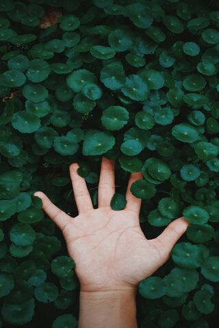 Embracing Nature's Embrace 🌿🤲