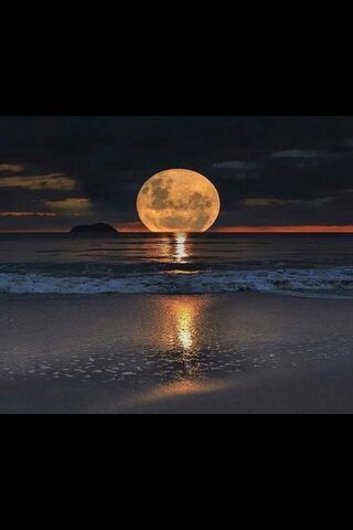 Moonlit Romance 🌙❤️