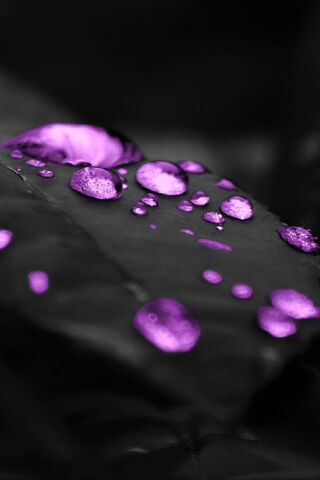 Purple Drops of Nature's Art 🎨💧