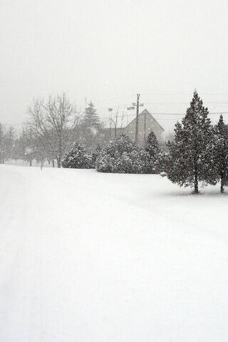Winter Wonderland: A Snowy Retreat ❄️🏡