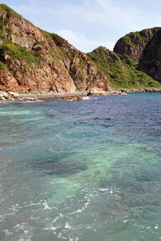 Serenity by the Shore: A Niceview Escape 🌊🏞️