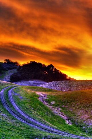 Sunset Serenity: A Niceview Escape 🌅
