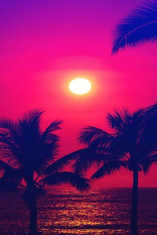 Tropical Sunset Bliss �..