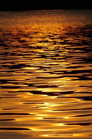 Golden Reflections on W..