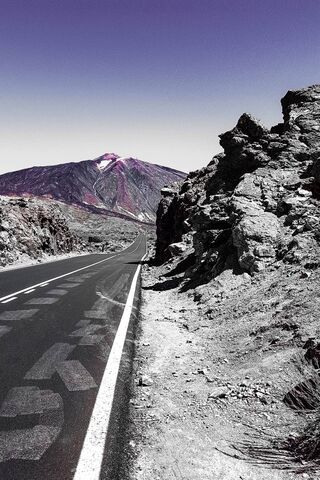 Journey Through the Wild