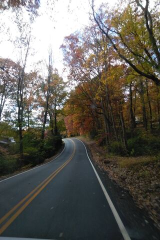 Autumn's Embrace: A Serene Sunset Drive 🌅🍂