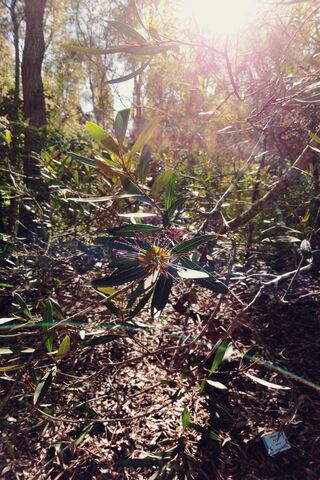 Earthly Warmth