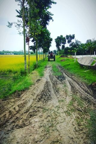 Tractor Trails on Village Road Dip 🚜🌾