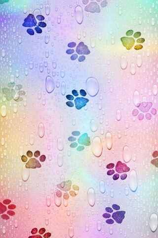 Paw Prints in a Colorfu..