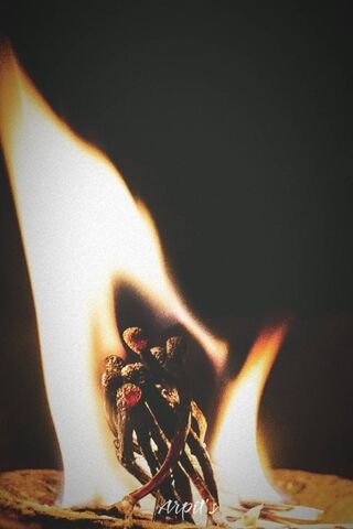 Flames of Passion 🔥❤️