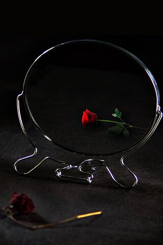 Reflections of a Rose 🌹✨