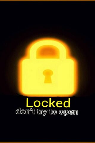 Secure Your Secrets: The Locked Phone