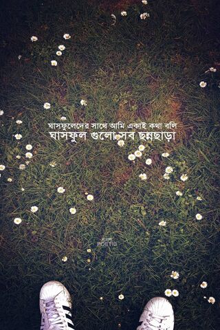 Whispers of Bangla Melodies 🎶🌼