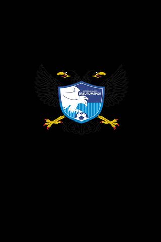 Erzurum's Pride: The Spirit of Erzurumspor ⚽️🦅