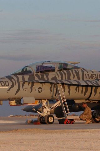 Ozcanates: The Striped Guardian of the Skies 🛩️✨