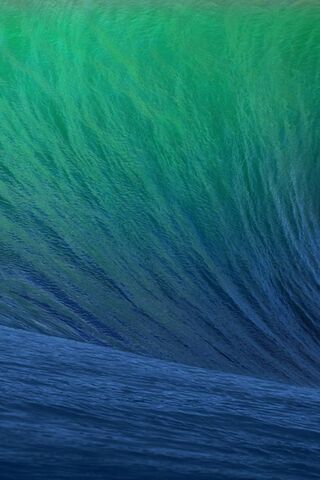 Riding the Mavericks Wave 🌊