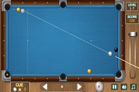 Pool King