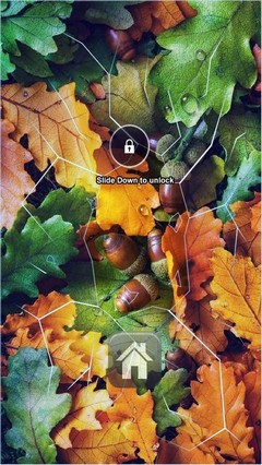 Autumn Colors Lock Screen