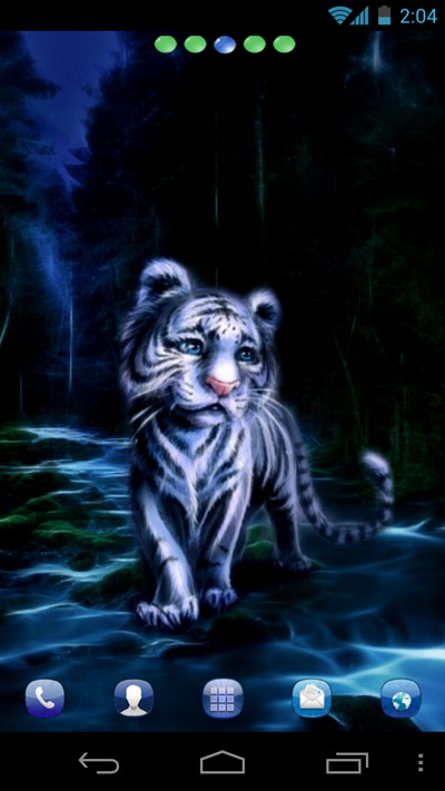 Little tiger