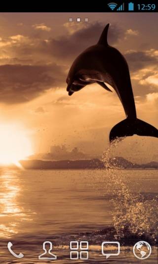 Dolphin by vanko Go Launcher