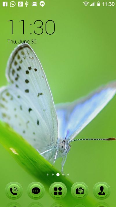 White Butterfly 408