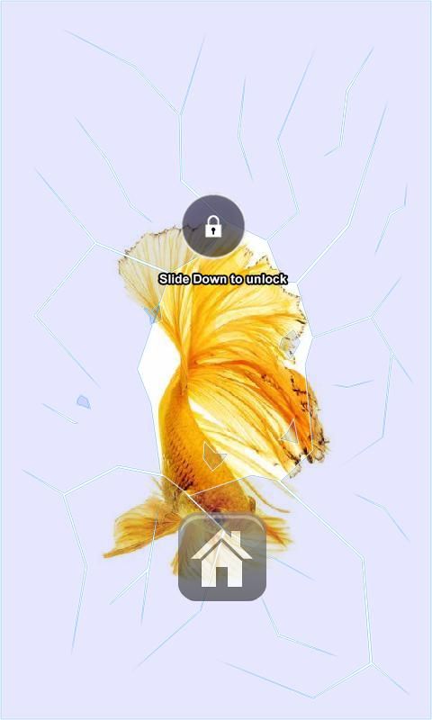 Gold Beta Fish Lock Screen