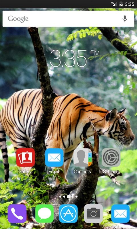 Bengal tiger in jungle GO Launcher Theme