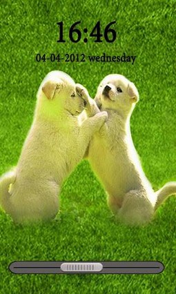 Charming puppies HD GoLocker