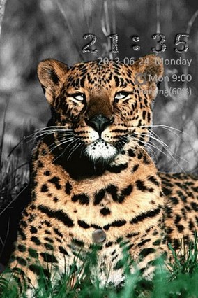 Leopard Go Locker