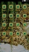 Wild Cats leopard