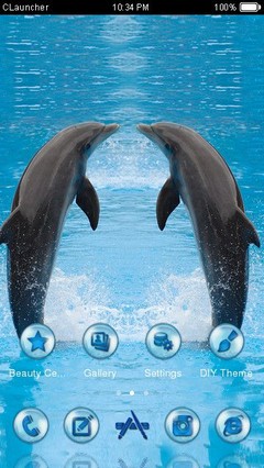 Dolphins Clauncher Theme