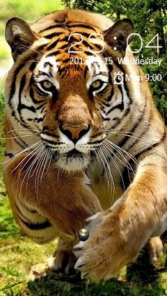 Tiger Locker