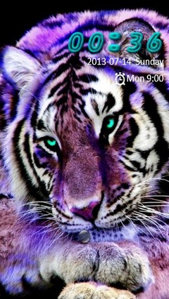 Purple Tiger Go Locker